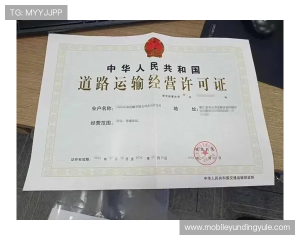 云顶集团4118合法运营背景及相关许可证文件详细解读