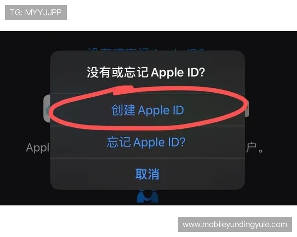 如何顺利进行云顶游戏id登录操作，全面掌握登录步骤与安全技巧