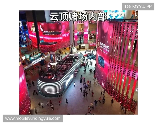 云顶赌场的数量变化趋势及未来发展预测