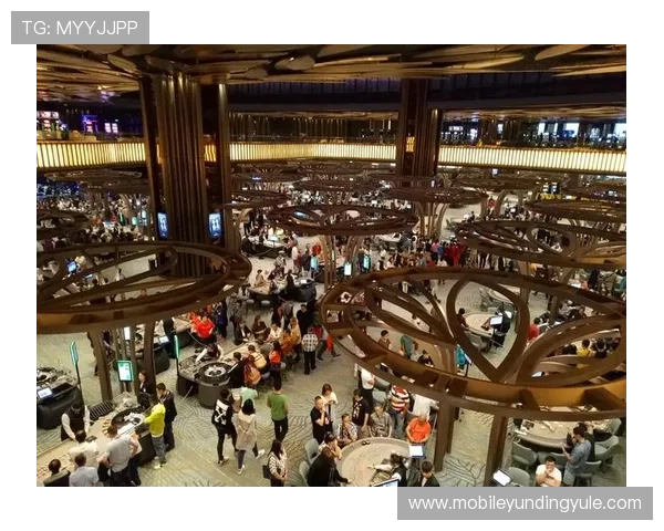 马来西亚云顶国际在线娱乐平台的安全保障措施与用户权益保护策略