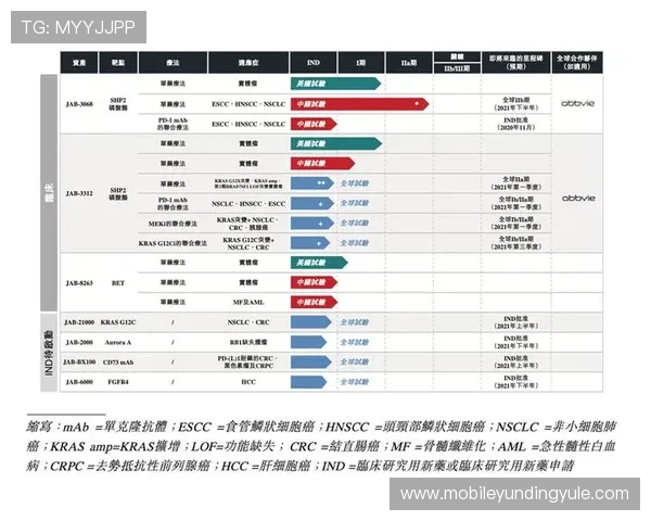 云顶新耀官网安全策略详解如何有效防范网络攻击保障玩家账号安全 云顶新耀官网安全策略详解如何有效防范网络攻击保障玩家账号安全